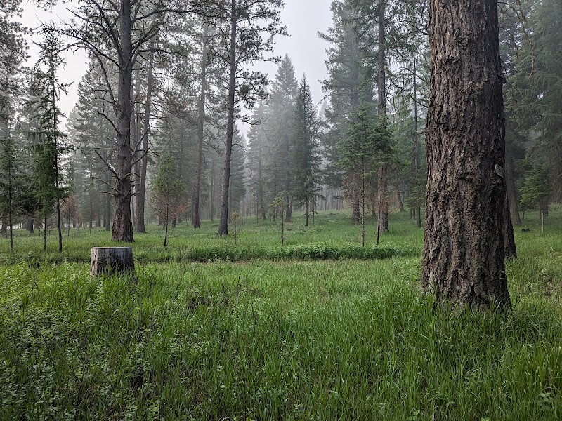 Bird Track Springs Campground
